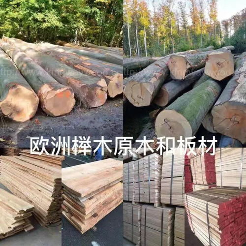 德国金威木业 上金威订购优质进口实木材,造就美好生活品质,您值得拥有更好的