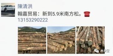 找原木,找板材,在这里,2017年9月28日 ,精品木材 销售信息,履约思源,不忘初心 搜狐财经 搜狐网
